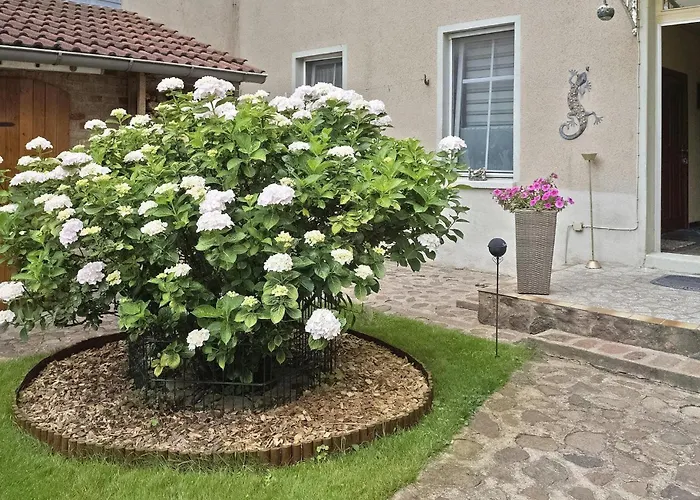 Apartamento Ferienwohnung Lychen Lychen